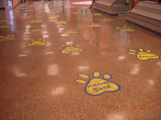 Cheltenham High School math visit - panther paw prints