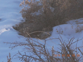84 8v2. Arches National Park - birds