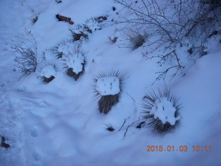 60 8v3. Fisher Towers hike - snow cactus balls