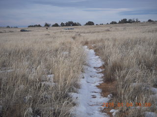 119 8v4. Canyonlands National Park - Lathrop trail hike - grassy trail