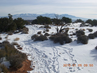 61 8v5. Dead Horse Point State Park hike - Lasal Mountains