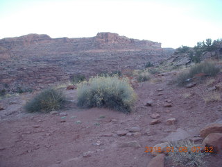 30 8v6. Porcupine Rim mountain-biking trail hike - plants