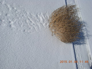 172 8v6. These tracks are tumbleweed tracks.