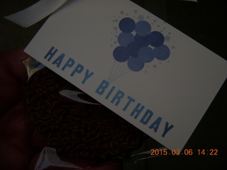 Adam and birthday cupcakes