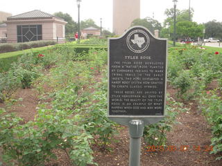 Austin - capitol of Texas