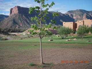 29 8zv. Gateway morning run