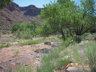 73 8zv. Beaver Creek Canyon hike