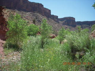 82 8zv. Beaver Creek Canyon hike