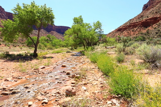 85 8zv. Beaver Creek Canyon hike