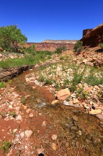 92 8zv. Beaver Creek Canyon hike