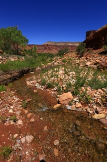 94 8zv. Beaver Creek Canyon hike