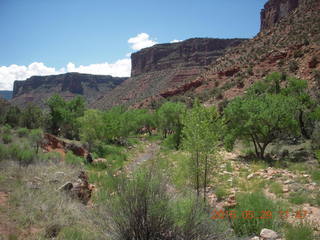 95 8zv. Beaver Creek Canyon hike