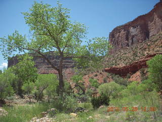 106 8zv. Beaver Creek Canyon hike