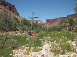 107 8zv. Beaver Creek Canyon hike