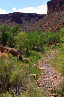 122 8zv. Beaver Creek Canyon hike