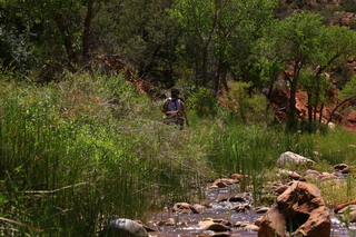 127 8zv. Beaver Creek Canyon hike