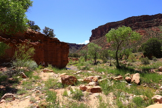 145 8zv. Beaver Creek Canyon hike