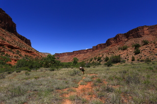 154 8zv. Beaver Creek Canyon hike