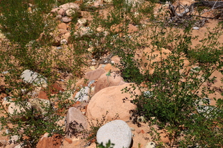 156 8zv. Beaver Creek Canyon hike