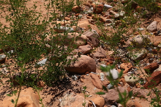 160 8zv. Beaver Creek Canyon hike