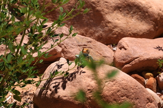 162 8zv. Beaver Creek Canyon hike