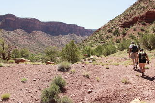 291 8zv. Beaver Creek Canyon hike