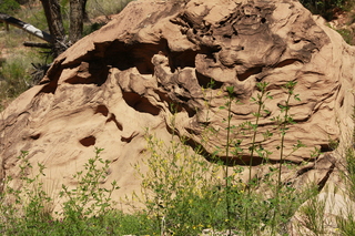 311 8zv. Beaver Creek Canyon hike