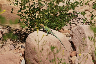 325 8zv. Beaver Creek Canyon hike