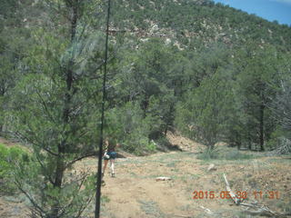 174 8zw. drive to Calamity Mine - very tough side road - Karen