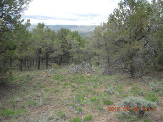 252 8zw. drive to Calamity Mine