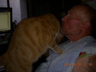 383 902. Adam and Max the cat