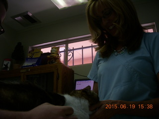 my cat Penny and Dr. Krista Gibson