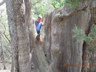 Debbie's and Ted's cabin - hike - Adam in tree