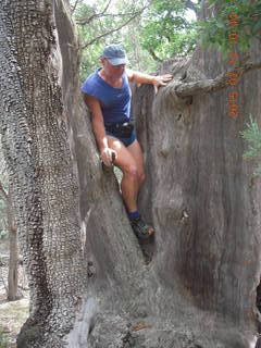 Debbie's and Ted's cabin - hike - Adam in tree
