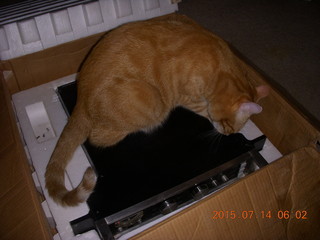 397 91e. Electro Research EK-1 with (I hope) failed power supply + my cat Max