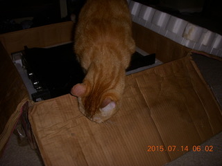 398 91e. Electro Research EK-1 with (I hope) failed power supply + my cat Max