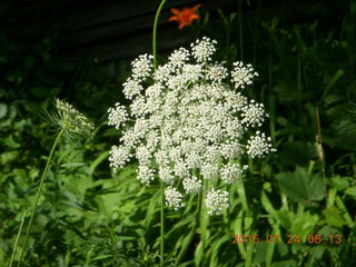 Afton, Minnesota, run - cool plant
