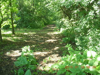 Afton, Minnesota, run - flowers