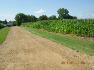 Afton, Minnesota, run - flowers