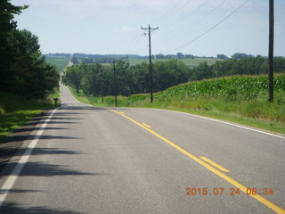 Afton, Minnesota, run field with cows