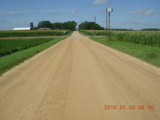 Afton, Minnesota, run - giant leaves