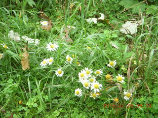 Afton, Minnesota, run - Adam running