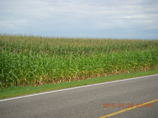 Afton, Minnesota, run - corn