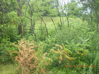 Afton, Minnesota run