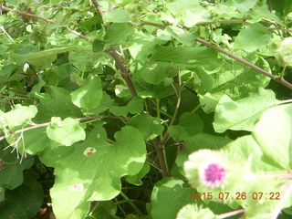 Afton, Minnesota, run