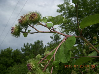 Afton, Minnesota run