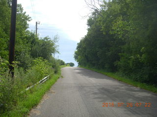 Afton, Minnesota, run - cows