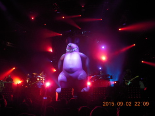 Debbie's and Ted's cabin - wood pile