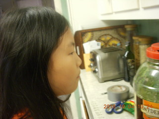 Australian Pink Floyd show