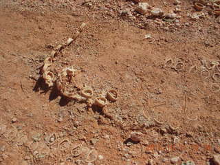 16 94x. Bryce Canyon - Peek-a-Boo loop - funky round things